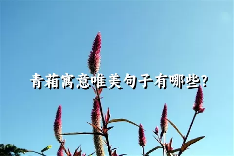 青葙寓意唯美句子有哪些？