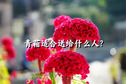 青葙适合送给什么人？