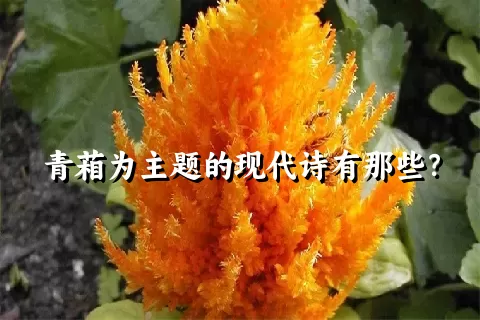 青葙为主题的现代诗有那些？