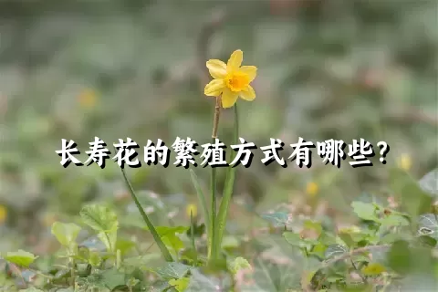 长寿花的繁殖方式有哪些？