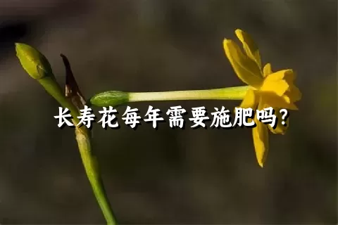 长寿花每年需要施肥吗？