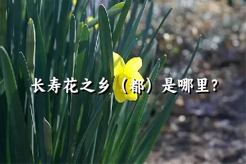 长寿花之乡（都）是哪里？