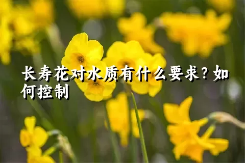 长寿花对水质有什么要求？如何控制