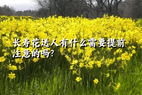 长寿花送人有什么需要提前注意的吗？