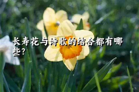 长寿花与诗歌的结合都有哪些？