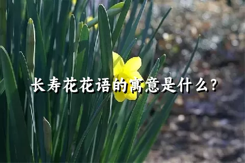 长寿花花语的寓意是什么？