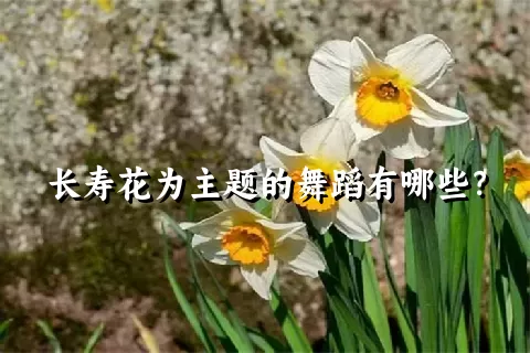 长寿花为主题的舞蹈有哪些？