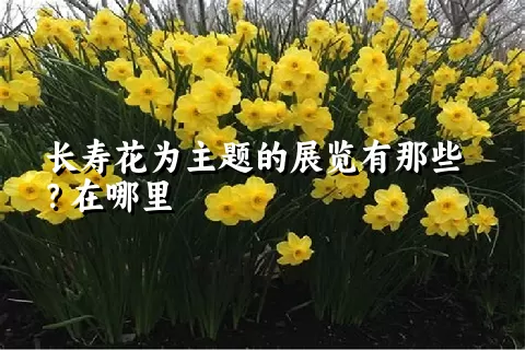 长寿花为主题的展览有那些？在哪里