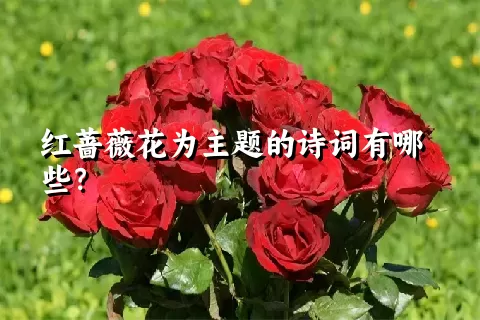 红蔷薇花为主题的诗词有哪些？