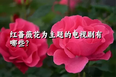 红蔷薇花为主题的电视剧有哪些？