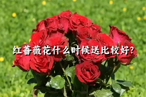 红蔷薇花什么时候送比较好？