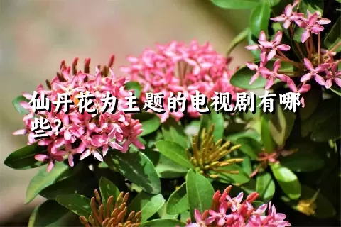 仙丹花为主题的电视剧有哪些？