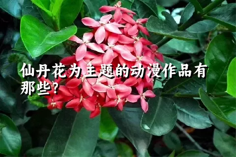 仙丹花为主题的动漫作品有那些？