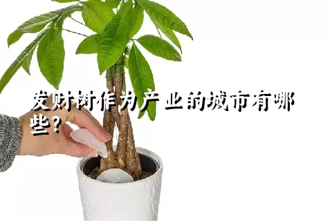 发财树作为产业的城市有哪些？