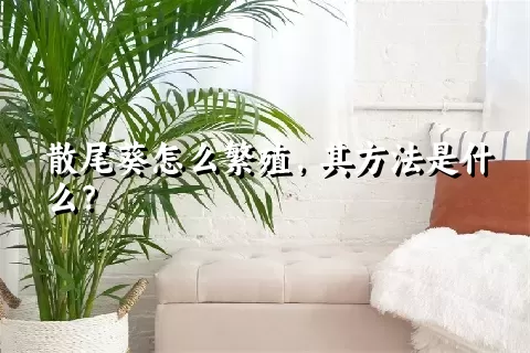 散尾葵怎么繁殖，其方法是什么？