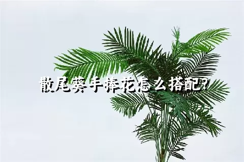 散尾葵手捧花怎么搭配？