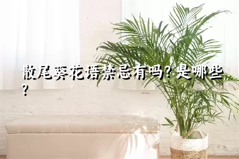 散尾葵花语禁忌有吗？是哪些？