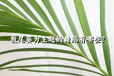 散尾葵为主题的舞蹈有哪些？