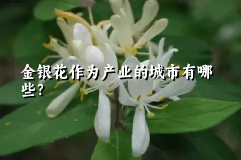 金银花作为产业的城市有哪些？