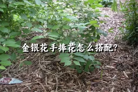 金银花手捧花怎么搭配？