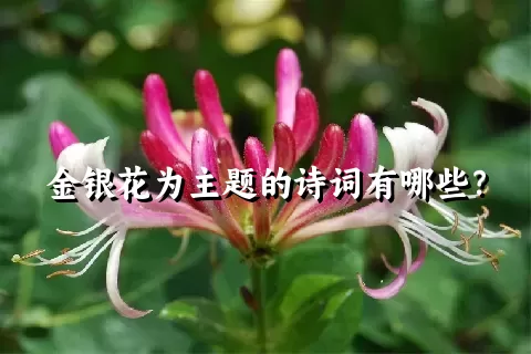 金银花为主题的诗词有哪些？