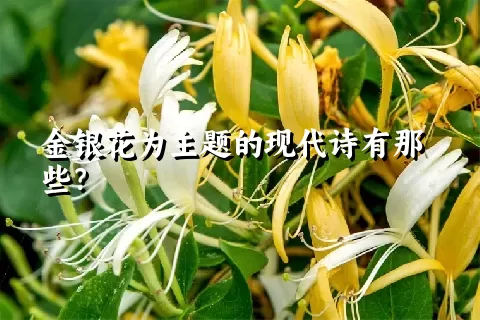 金银花为主题的现代诗有那些？