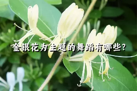 金银花为主题的舞蹈有哪些？