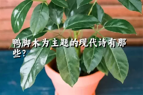 鸭脚木为主题的现代诗有那些？