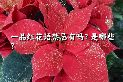 一品红花语禁忌有吗？是哪些？