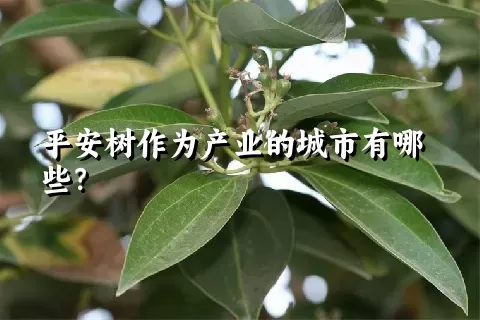 平安树作为产业的城市有哪些？