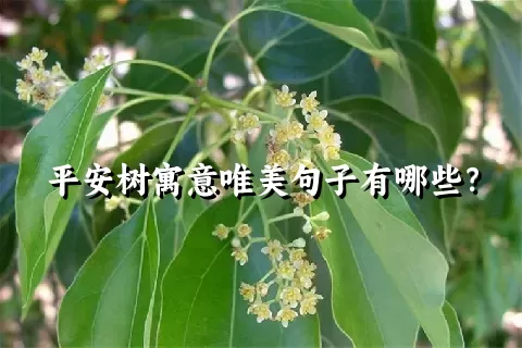 平安树寓意唯美句子有哪些？