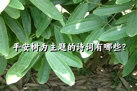 平安树为主题的诗词有哪些？