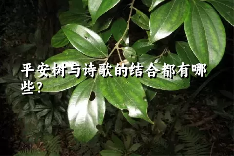 平安树与诗歌的结合都有哪些？