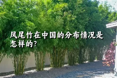 凤尾竹在中国的分布情况是怎样的？