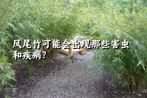 凤尾竹可能会出现那些害虫和疾病？