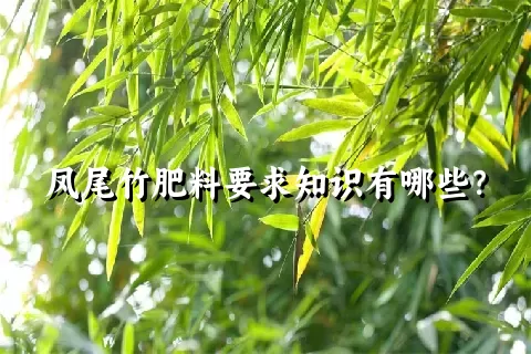 凤尾竹肥料要求知识有哪些？