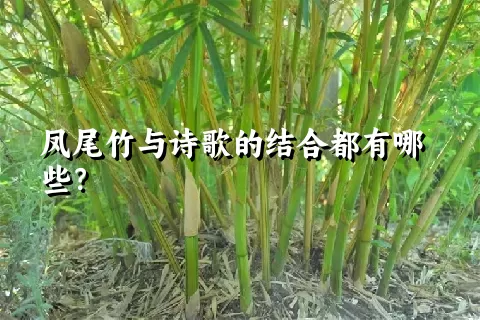 凤尾竹与诗歌的结合都有哪些？