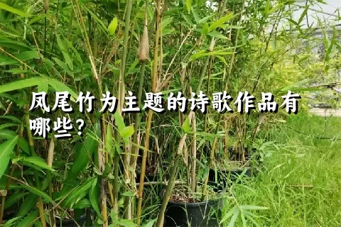 凤尾竹为主题的诗歌作品有哪些？