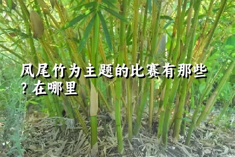 凤尾竹为主题的比赛有那些？在哪里