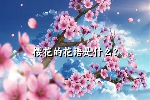 樱花的花语是什么？