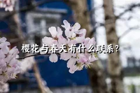 樱花与春天有什么联系？