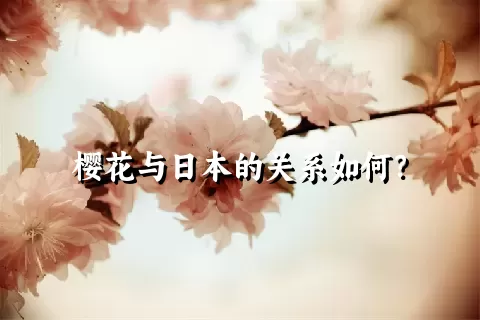 樱花与日本的关系如何？