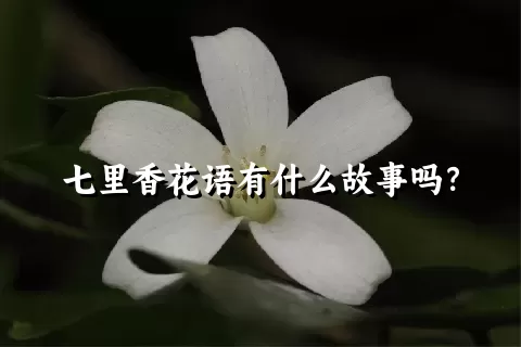 七里香花语有什么故事吗？