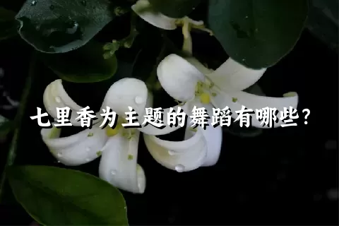 七里香为主题的舞蹈有哪些？