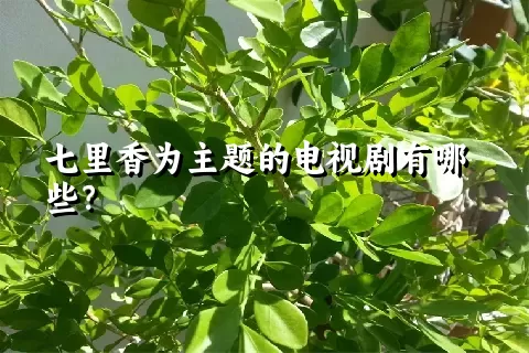 七里香为主题的电视剧有哪些？