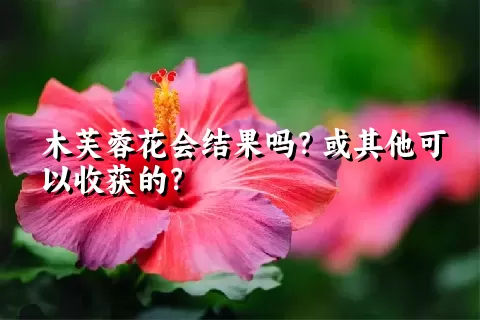 木芙蓉花会结果吗？或其他可以收获的？