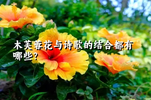 木芙蓉花与诗歌的结合都有哪些？