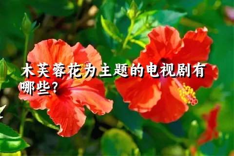 木芙蓉花为主题的电视剧有哪些？