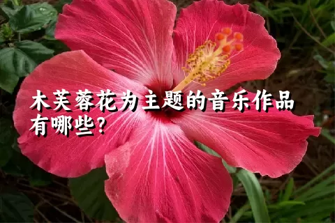 木芙蓉花为主题的音乐作品有哪些？