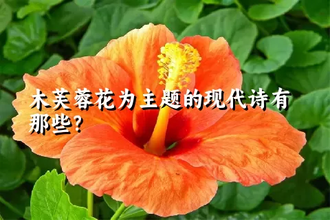 木芙蓉花为主题的现代诗有那些？